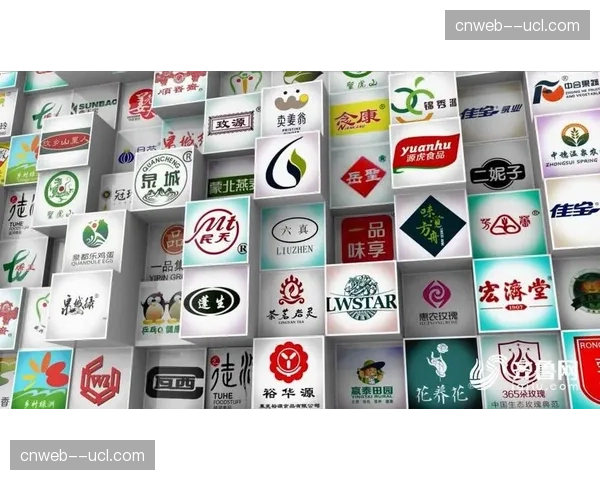 标准化与个性化需求共存 推动服务产品矩阵丰富